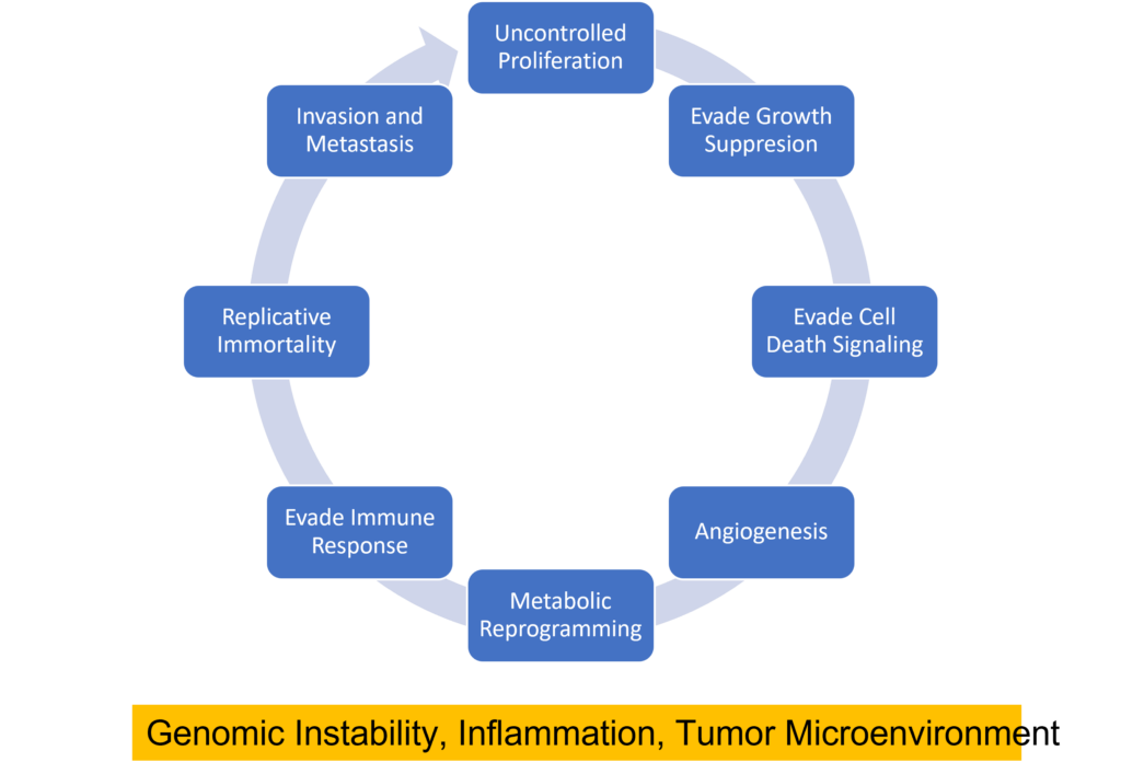 Cancer cells are characterized by features such as metabolic reprogramming and uncontrolled proliferation all of which are supported by underlying genomic instability, inflammation and the tumor microenvironment. 