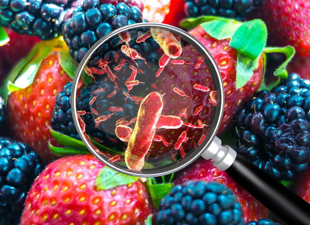 Food Contamination-Strawberries-Blueberries-Magnifying glass