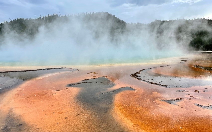 The Microbial Secrets that Lie within Yellowstone National Park Hot Springs