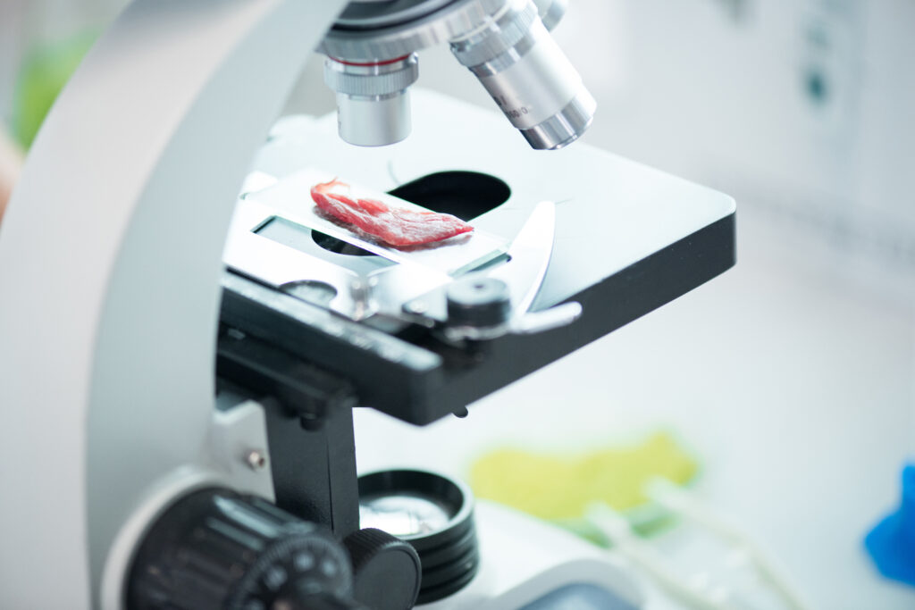 Close-up view of slice of fresh meat lying under microbiology laboratory microscope on brightly lit desk