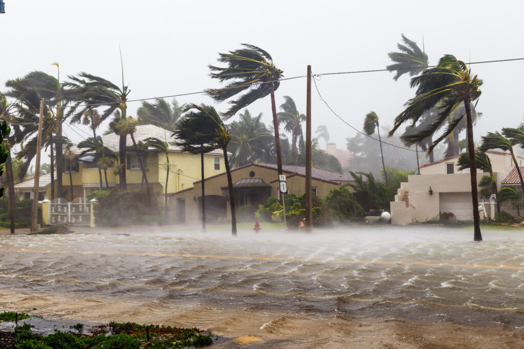 Waves are whipped up on a flooded street while palm trees are bending under the force of the wind during hurricane Irma.