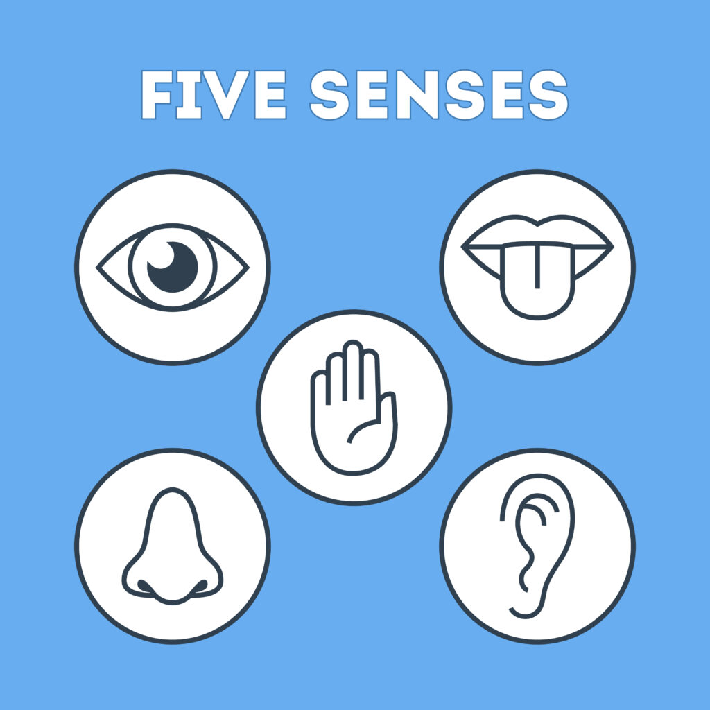 The five sense theory