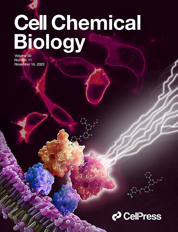 A 3D illustration showing RAF inhibitor LXH254 engages BRAF or CRAF protomers (orange), but spares ARAF (red). Unoccupied ARAF is competent to trigger downstream mitogenic signaling, which is demonstrated with lightning bolts. Red cells in the background are fluorescently labeled RAS proteins, expressed in live cells. The Cell Chemical Biology cover type superimposes the image.