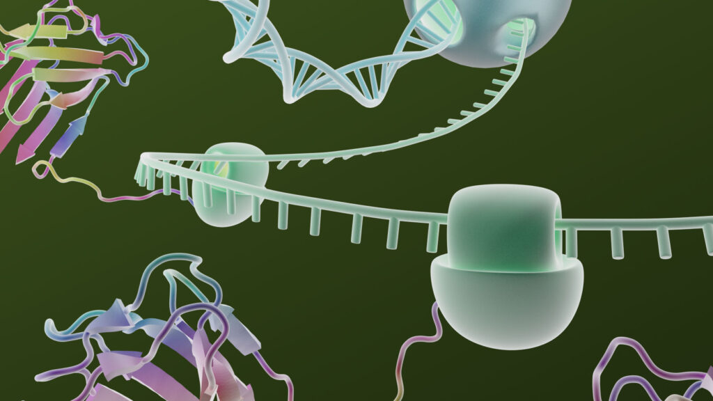 Wheat Germ Extract for high-yield protein expression