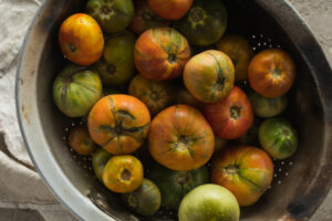 Tomatoes affected by a virus, showing the yellow and brown spots characteristic of ToBRFV. 