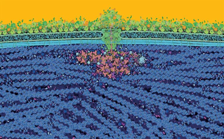 Bringing Science to Life: How Art and Sustainability Shape Our New ...