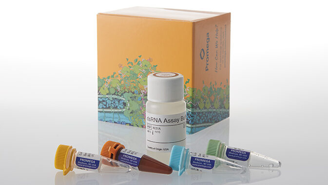 in the background is a Promega kit box (yellow, with blue and green details). and in the foreground, five tubes of reagents.