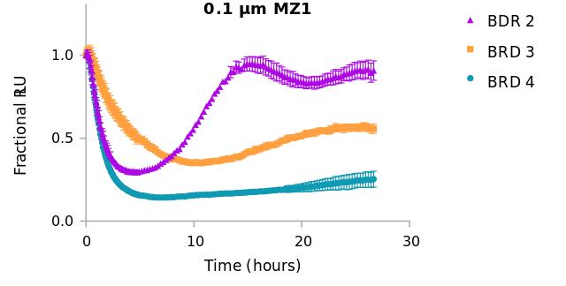 Line graph showing the fractional luminescence (RLU) over time for BRD2, BRD3, and BRD4 in response to 0.1 µM MZ1 treatment. Distinct kinetic degradation profiles are observed for each BET family protein, emphasizing differences in degradation rate, depth, and recovery.