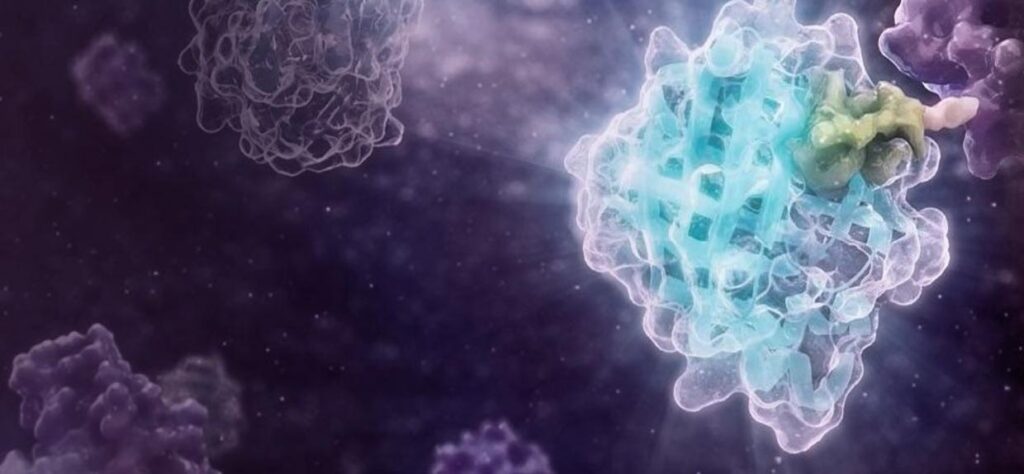 3D visualization of a protein structure within a live-cell environment, highlighting the interaction site relevant to targeted protein degradation, set against a dark cellular background to emphasize kinetic dynamics.