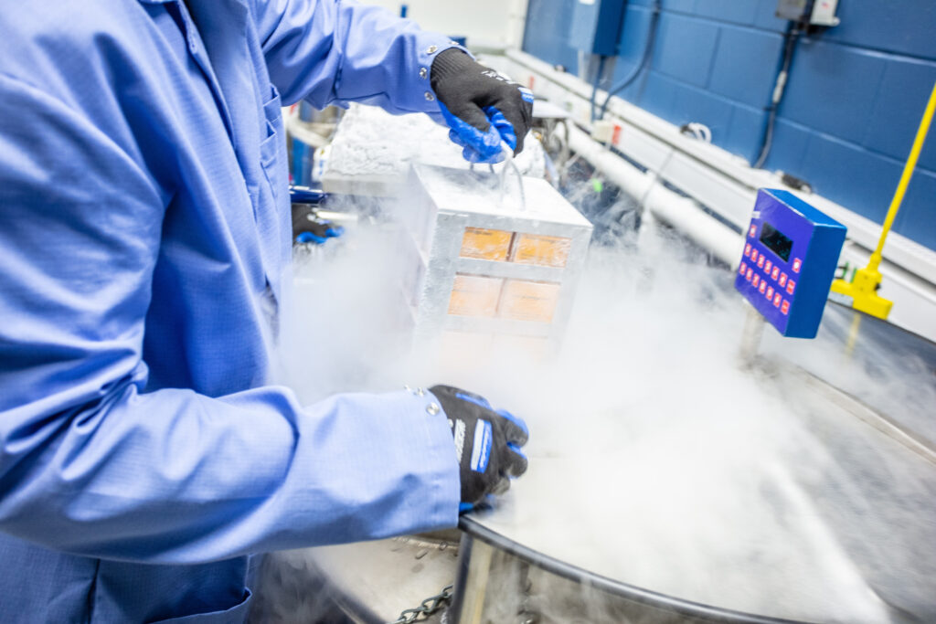 Scientist removes samples from liquid nitrogen tank, affecting the immediate laboratory environment.