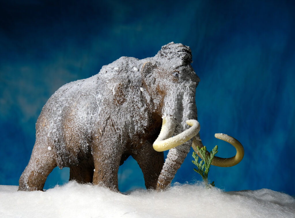Woolly Mammoth