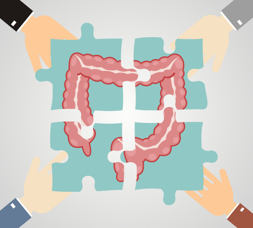 Four hands putting jigsaw puzzle pieces with image of large intestine together. 