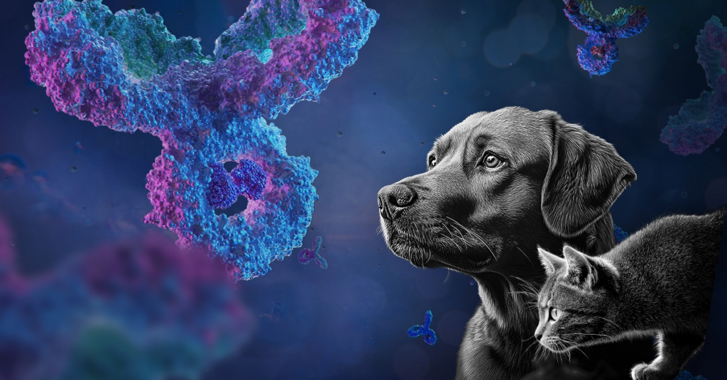 Comparative oncology integrates the advances and research of veterinary science. Dog and cat against a background of antibodies.