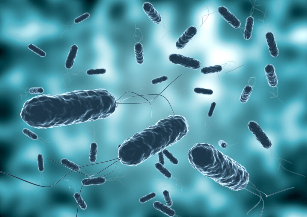 Antibiotics and Bacteria
