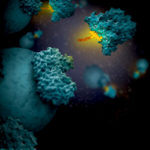 Artist's 3D concept of HaloTag with linker attaching to a target protein