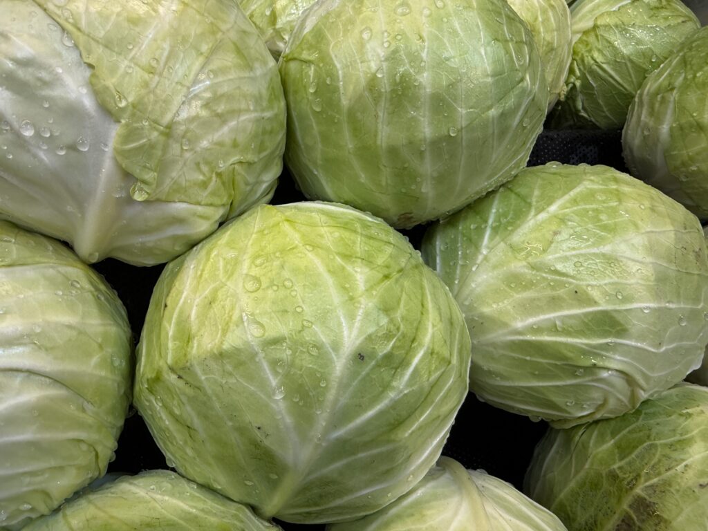 Close up of fresh green leafy vegetables, conceptually illustrating agricultural food safety warnings, grocery recalls, and cyclospora outbreaks